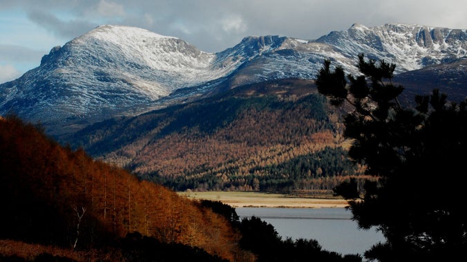 A view of snow capped fells and winter sunlight on bare trees in Ennerdale, Lake District, Cumbria